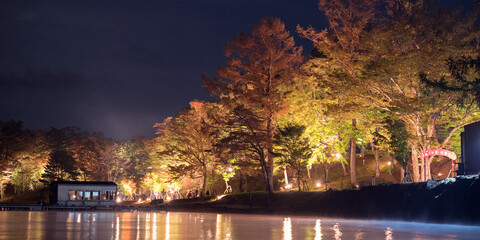Wall Mural - Autumn leaves lit up at Lake Yamanaka　山中湖の夜景 夕焼けの渚・紅葉まつり