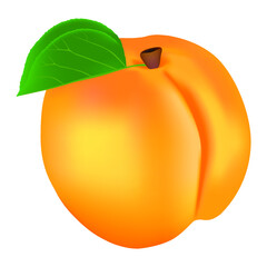 Wall Mural - Apricot with a leaf on a white background.