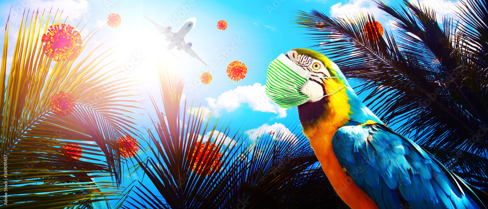 Macaw parrot with medical mask on vacation - obrazy, fototapety, plakaty 