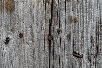 texture of natural wood with nails. Old wooden board with cracks