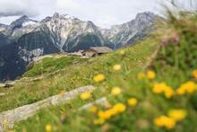 Alpine Pasture Of Barna Alp, Switzerland.