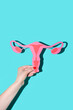 © CACTUS Creative Studio/Stocksy - Female reproductive organ