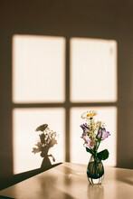Flower Vase Casting Shadow