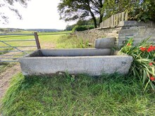 Old Stone Water Trough, Next To A Farm Gate, With Grass And Wild Red Flowers Near, Halifax, Yorkshire, UK