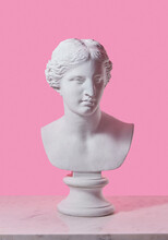 Gypsum Statue Of Venus Head.