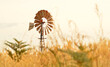 windmill in Australian paddock at sunset
