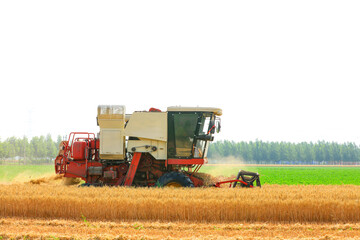 combine harvester working on a wheat field