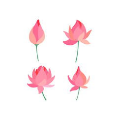 Poster - Lotus flower. Different types of flower. Flat line vector illustration.