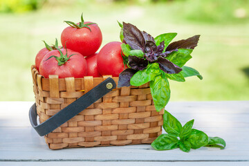 Canvas Print - Italian cuisine ingredients. Tomatoes, herbs and spices