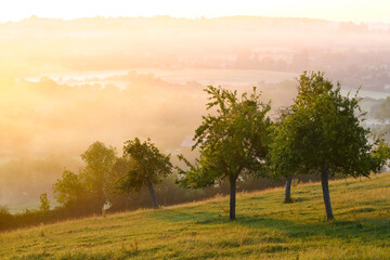 Wall Mural - Paysage campagne 722