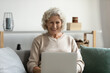 © fizkes - Happy elderly woman working texting message on laptop sit on couch, smiling senior female using portable pc browsing website surfing internet enjoy easy and convenient method of communication concept