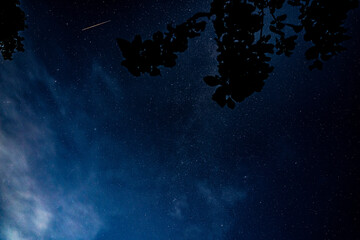 Wall Mural - overhead milky way with stars in clear summer night. country side.