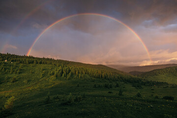  A rainbow over a field