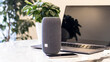 © MiaStendal - A portable speaker with built-in smart intelligence. Musical column. Marble table, work atmosphere, laptop, green flower, coffee cup. Morning sunlight.