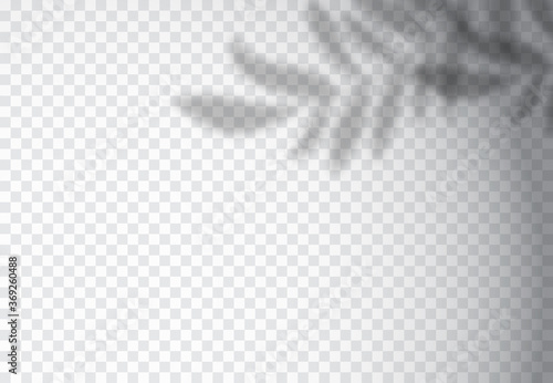 Fotografía Vector set of transparent shadow overlay effects