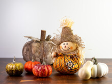 Little Scarecrow With Orange Plaid Outfit Sitting On A Wooden Counter With Little Pumpkins And Gourds Beside It And A Wooden Pumpkin Behind It.  Fall Decor For Halloween, Thanksgiving Or Autumn.