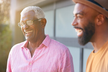 Senior Father Talking And Laughing With Adult Son In Garden At Home