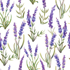 Wall Mural - Vector illustration: seamless pattern of lavender flowers. Watercolor painting