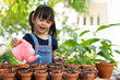 Adorable 3 years old asian little girl is watering the plant  in the pots outside the house, concept of plant growing learning activity for preschool kid and child education for the tree in nature