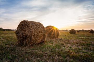 Wall Mural - amazing view with an autumn field full of hay bales and sun beams before sunset