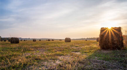 Wall Mural - amazing view with an autumn field full of hay bales and sun beams before sunset