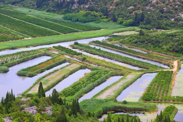 Sticker - Agriculture in Neretva Delta, Croatia