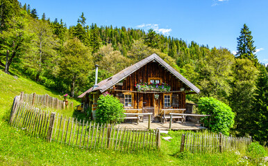 Wall Mural - old farmhouse at the european alps