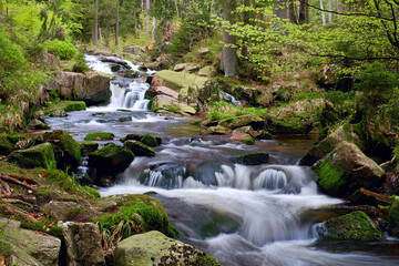 Bach mit Wasserfall strömt über Felsen im Wald im Harz Langzeitbelichtung