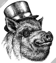 Black And White Engrave Isolated Pig Vector Illustration