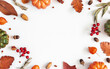 Autumn composition. Dried leaves, pumpkins, flowers, rowan berries on white background. Autumn, fall, halloween, thanksgiving day concept. Flat lay, top view