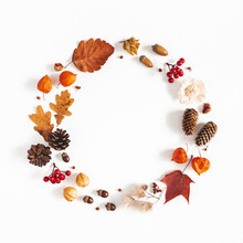 Autumn Composition. Wreath Made Of Dried Leaves, Flowers, Rowan Berries, Pine Cones On White Background. Autumn, Fall, Thanksgiving Day Concept. Flat Lay, Top View