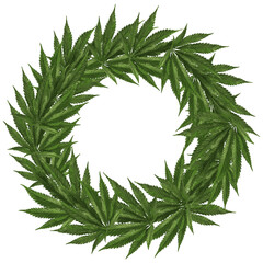 Hemp vector frame in the shape of a circle. Realistic cannabis leaf frame for design isolated on white