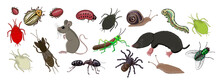 A Set Of Animal Pests Of Fields And Gardens - Mole, Mouse, Locust, Fly, Mole Cricket, Slug, Colorado Potato Beetle, Aphid, Ant. Drawing Isolated On A White Background. Stock Vector Illustration.