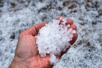 Close up view at left palm full with hail stones. Hand is freezing from cold ice and become wet and red from melting hail balls