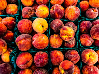 Fresh picked Red Haven type peaches for sale at a farmer's market booth in Howell, Michigan, USA in August.