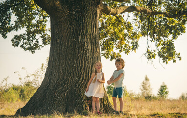 Wall Mural - Happy kids on countryside. Climbing trees children. Little boy and girl climbing high tree in the forrest. Overcoming the fear of heights. Small romantic kids.