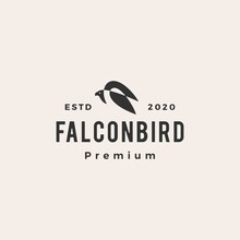 Eagle Falcon Bird Hipster Vintage Logo Vector Icon Illustration
