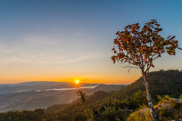 Wall Mural - Morning scenery on high mountains.9