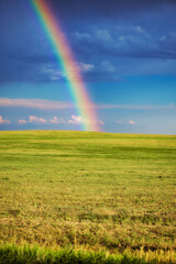  rainbow over green field