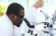 © Acronym - Scientist and students working in lab. Doctor teaching interns to make blood analyzing research. Biotechnology, chemistry, bacteriology, virology and health care concept.