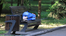Girl Sleeping On A Park Bench