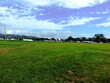 © Prakash - green grass and blue sky