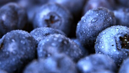 Wall Mural - Macro shot of wet fresh blueberries.