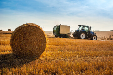 Tractor with baler machine for harvesting straw, harvesting hay on the hills in a summer field