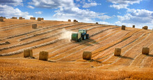 The Tractor Creates Bales On The Hills Of The Straw Field, Clouds Of Pollen And Storks Nearby