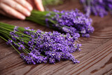 Fototapeta Lawenda - Aromatherapy - fresh natural lavender flowers bunches
