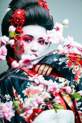 Wall Mural - young pretty geisha in black kimono among sakura, asian ethno close up on white background