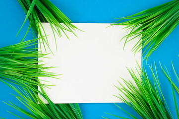 flat lay white leaf on blue background with green grass