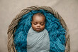 © Ursula Page - sleepy swaddled African-American newborn baby boy laying on a blue rug in a basket with copy space