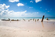 Lonely Beach in Kuba